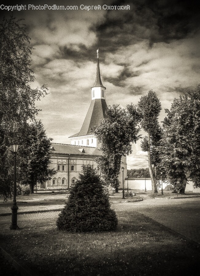 Spire, Tower, Building, Architecture, Tree