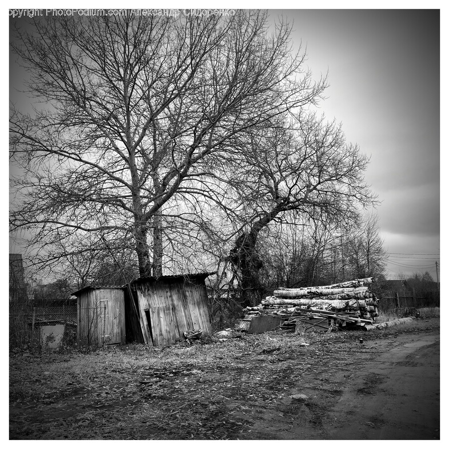 Hut, Outdoors, Nature, Countryside, Rural