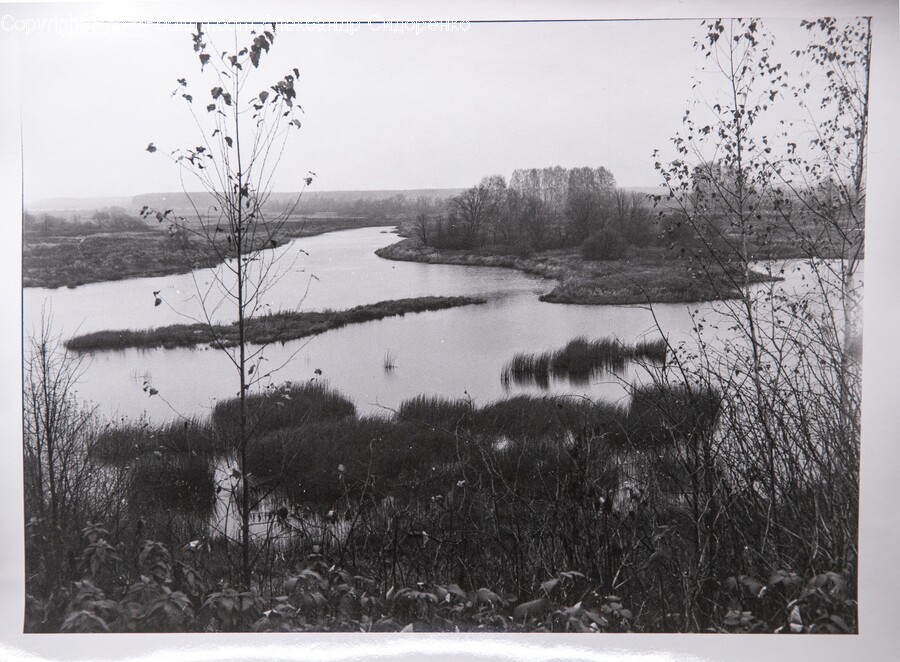 Land, Outdoors, Nature, Water, Pond