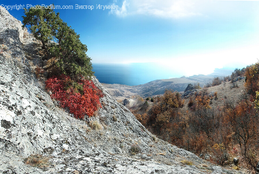Slope, Wilderness, Outdoors, Nature, Scenery