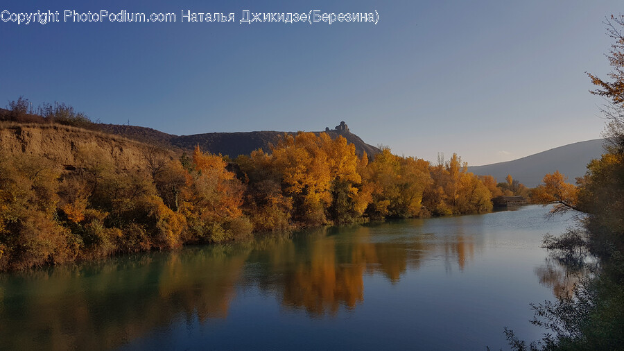 Lake, Outdoors, Nature, Water, Tree