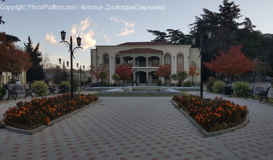 Walkway, Path, Villa, Housing, Building