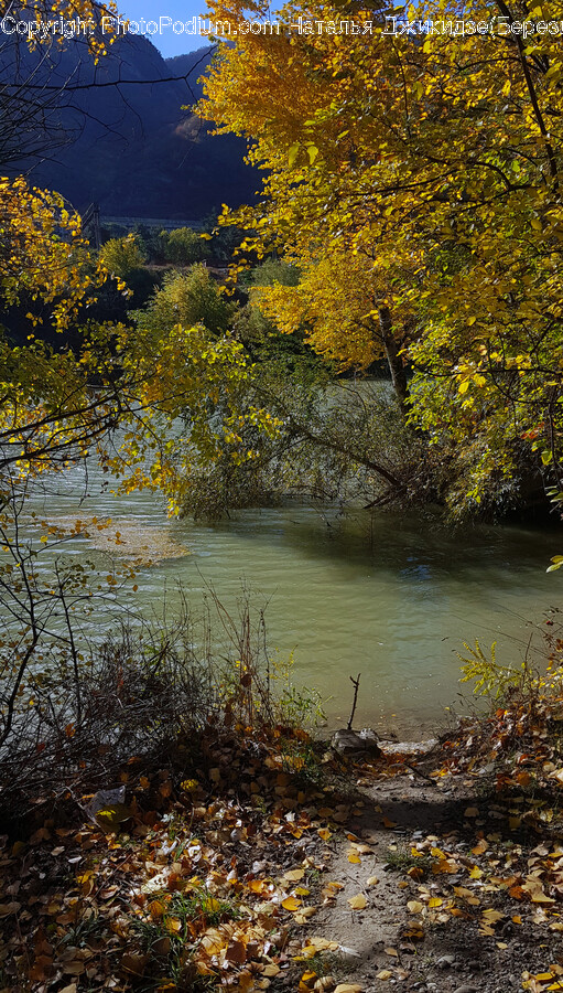 Land, Outdoors, Nature, Pond, Water