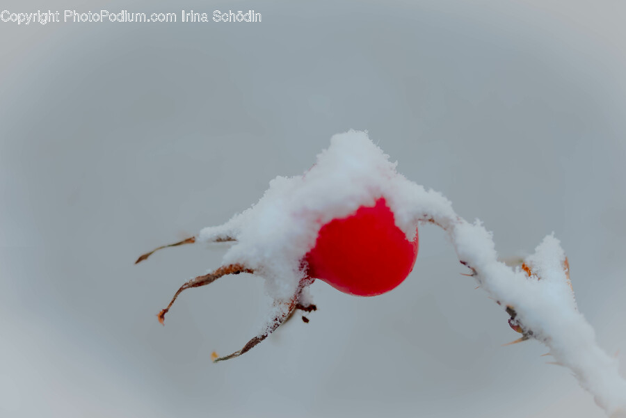 Weather, Nature, Outdoors, Ice, Snow