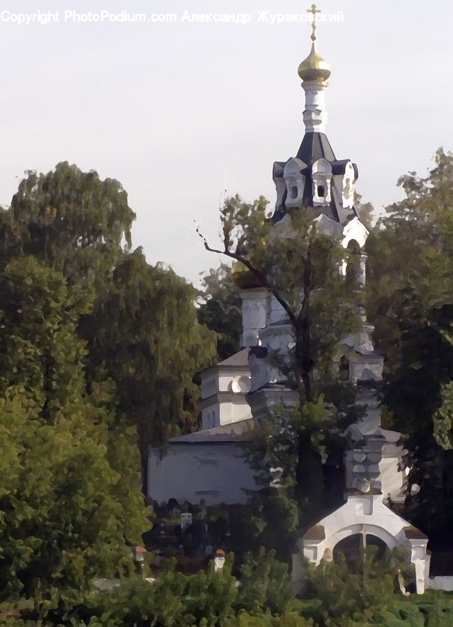 Plant, Potted Plant, Architecture, Bell Tower, Clock Tower, Tower, Spire