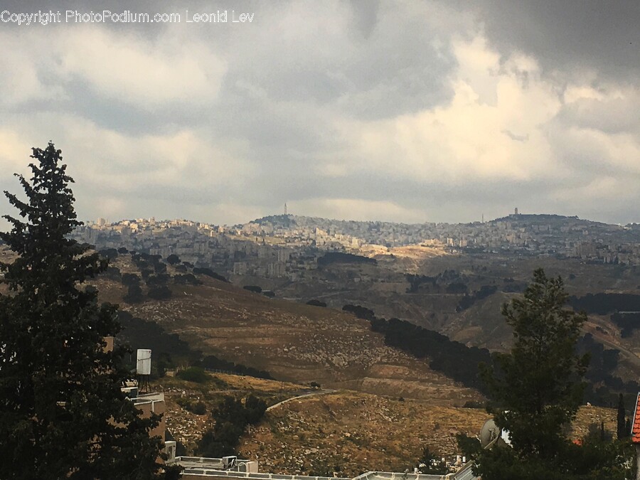 Tree, Plant, Fir, Plateau, Outdoors