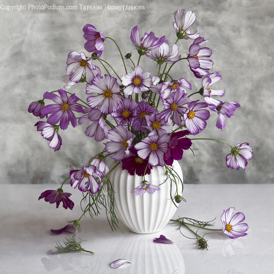 Flower Arrangement, Flower, Plant, Geranium, Flower Bouquet