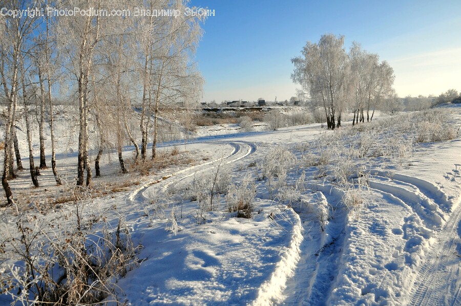 Weather, Nature, Outdoors, Ice, Frost