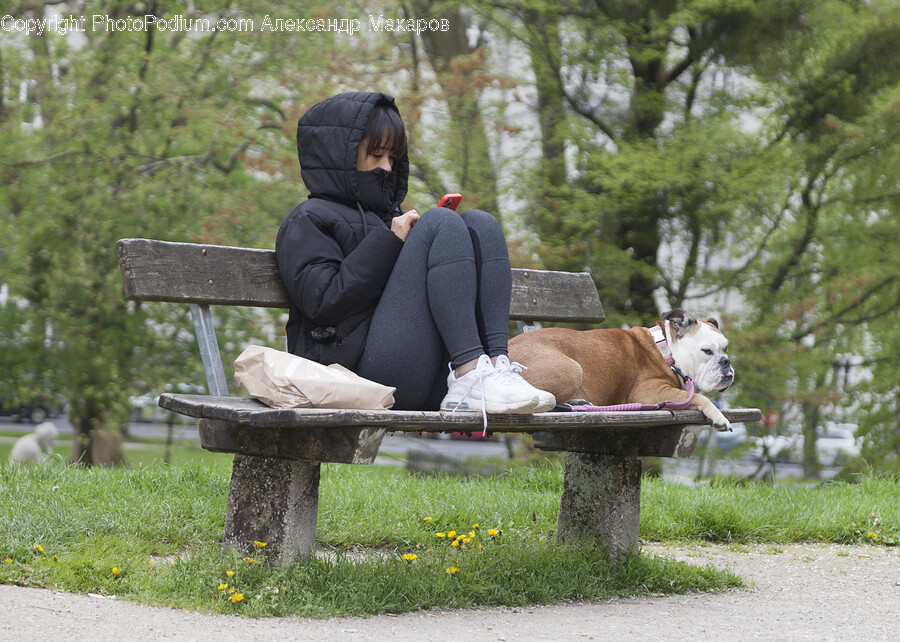 Sitting, Person, Bench, Furniture, Woman
