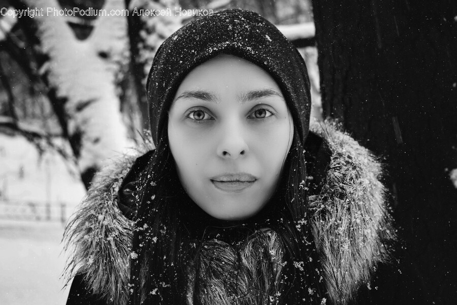 Portrait, Photography, Person, Face, Head