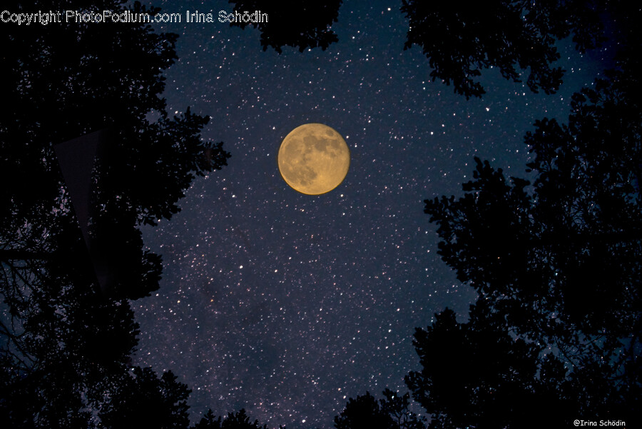 Night, Nature, Outdoors, Moon, Astronomy