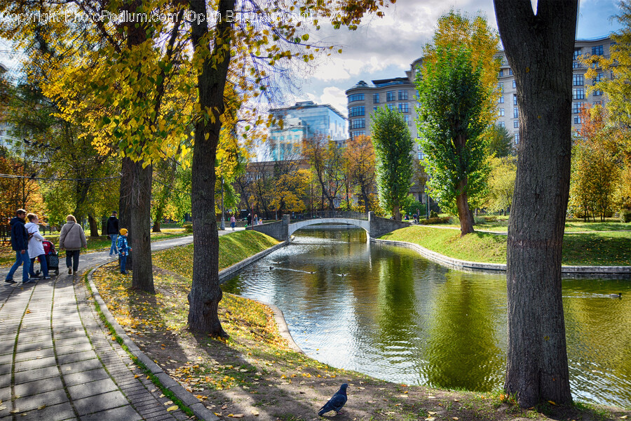 Path, Canal, Water, Outdoors, Tree Trunk