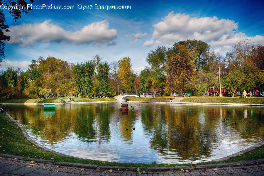 Scenery, Outdoors, Nature, Pond, Water