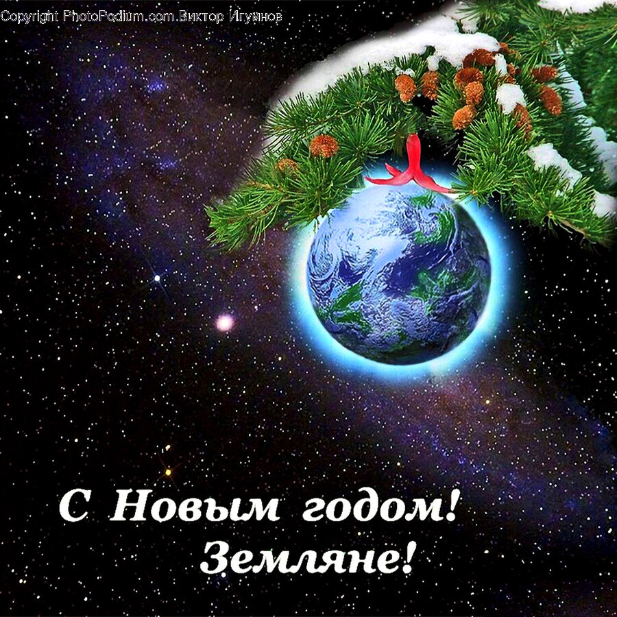 Outer Space, Astronomy, Tree, Plant, Planet