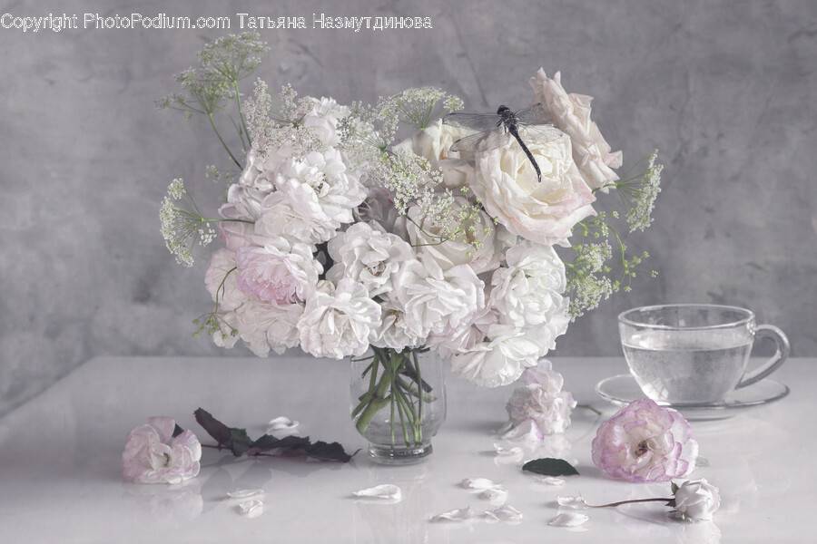 Flower Arrangement, Flower, Plant, Rose, Flower Bouquet
