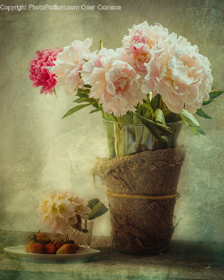 Flower Arrangement, Flower, Plant, Flower Bouquet, Geranium