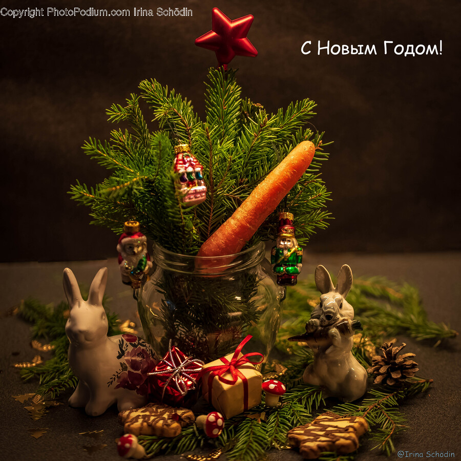 Tree, Plant, Flower Arrangement, Flower, Person