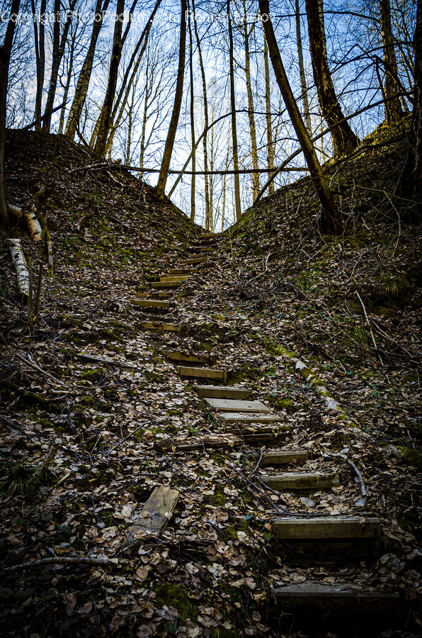 Grassland, Nature, Outdoors, Field, Staircase
