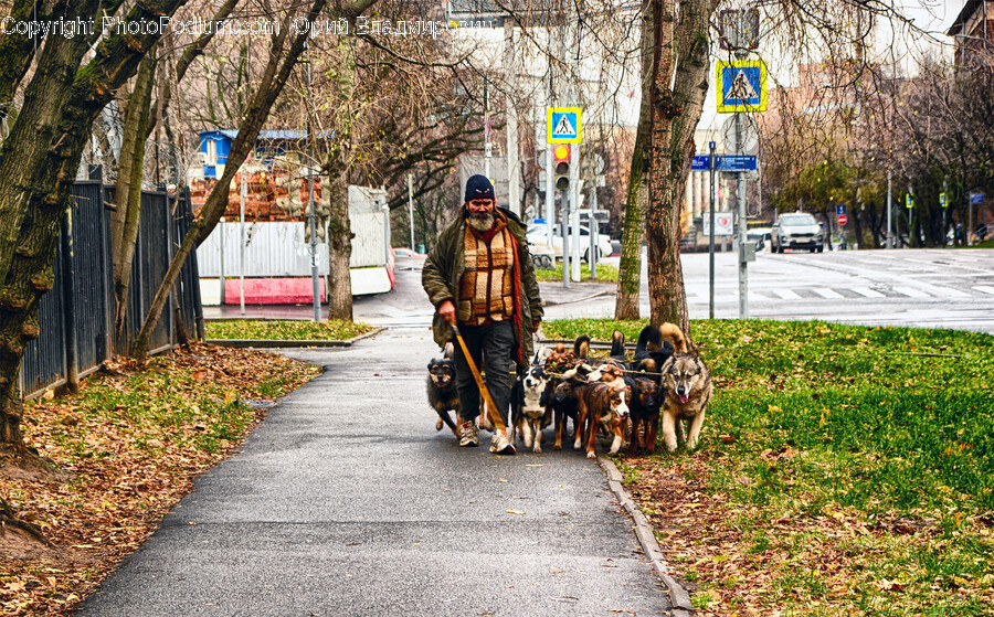 Sidewalk, Path, Person, Man, Adult