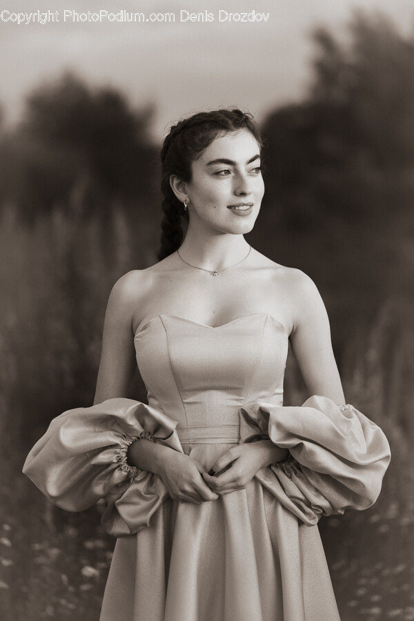 Dress, Clothing, Evening Dress, Formal Wear, Gown