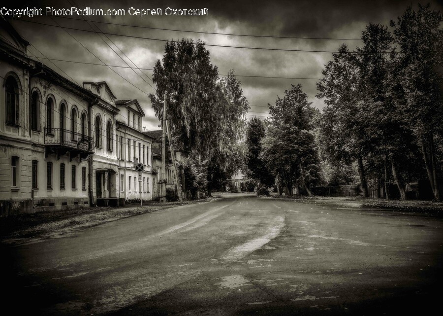 Road, Tarmac, Street, City, Urban