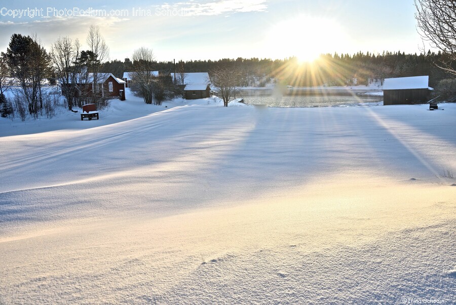 Sunlight, Flare, Light, Nature, Outdoors