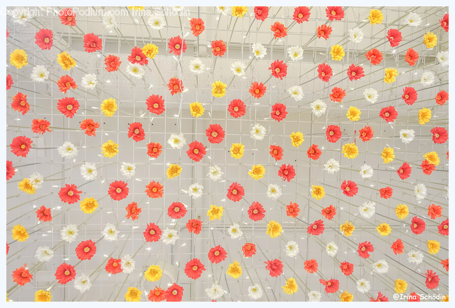 Floral Design, Pattern, Graphics, Art, Plant