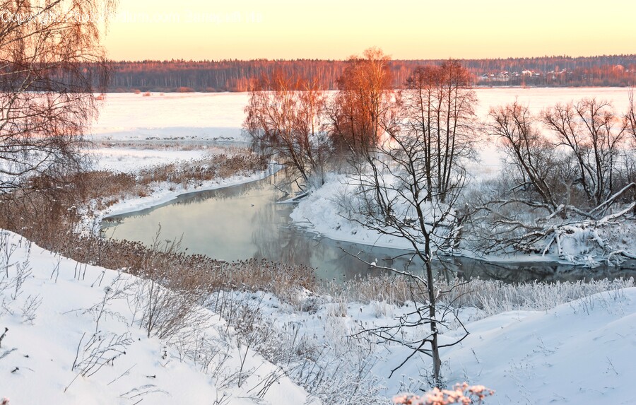 Scenery, Nature, Outdoors, Ice, Weather