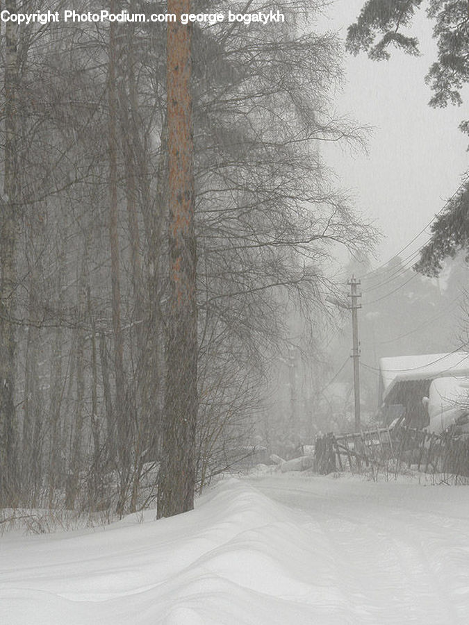Blizzard, Outdoors, Snow, Weather, Winter, Landscape, Nature