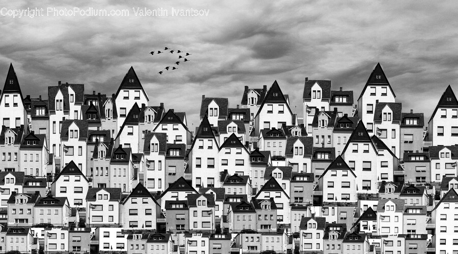 Neighborhood, Metropolis, City, Urban, Cityscape