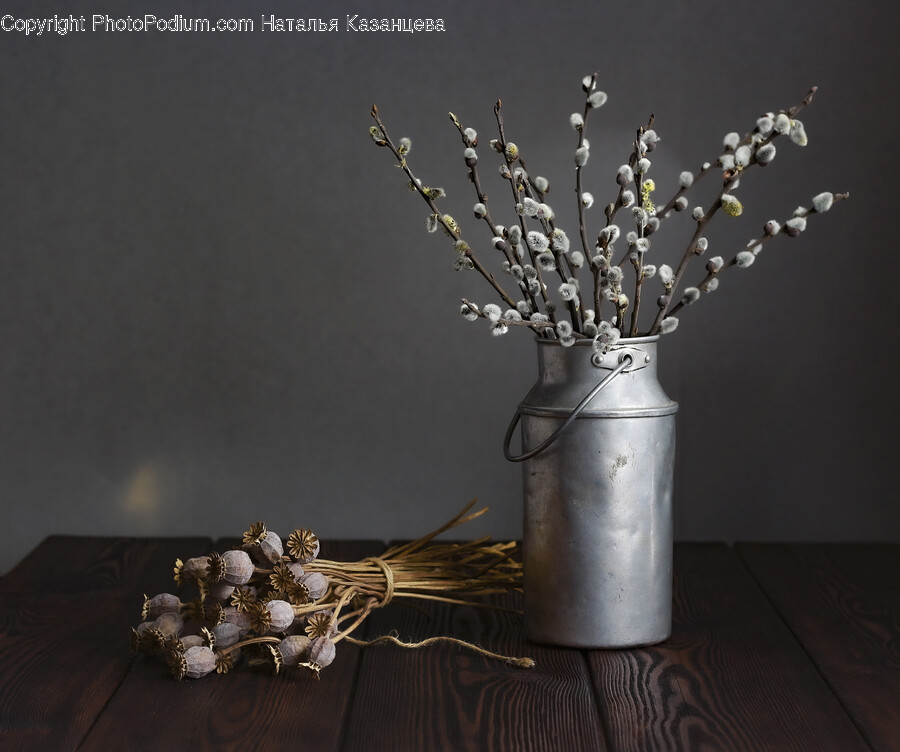 Tin, Can, Plant, Milk Can, Flower Arrangement