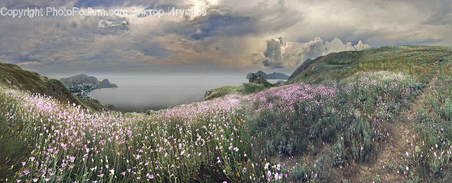 Landscape, Nature, Outdoors, Scenery, Grassland