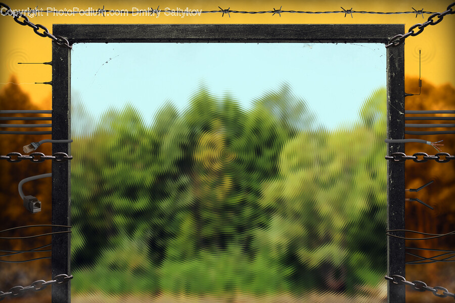 Outdoors, Nature, Plant, Gate, Fence