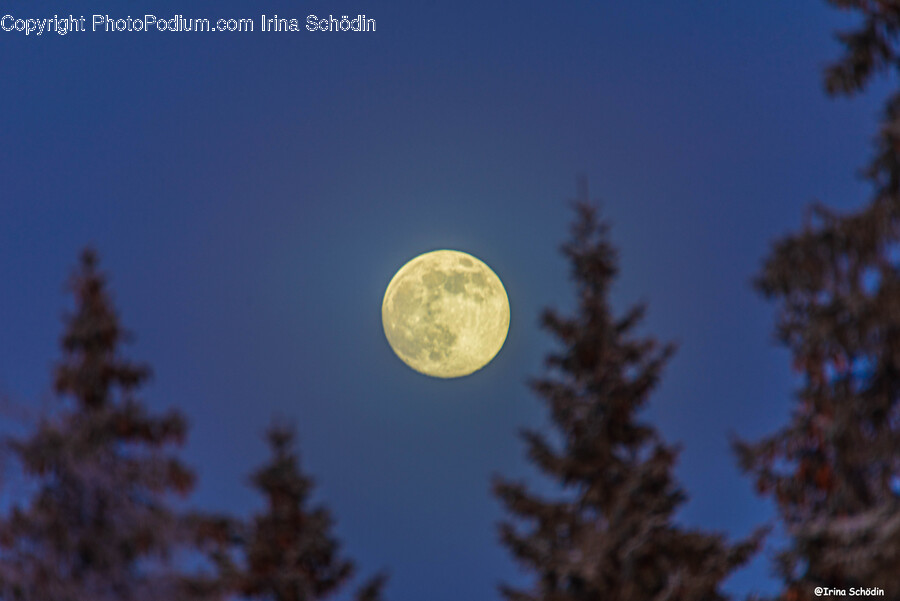 Moon, Night, Nature, Outdoors, Astronomy