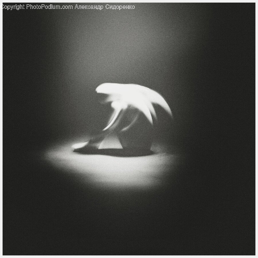 Lighting, Back, Person, Body Part, Night