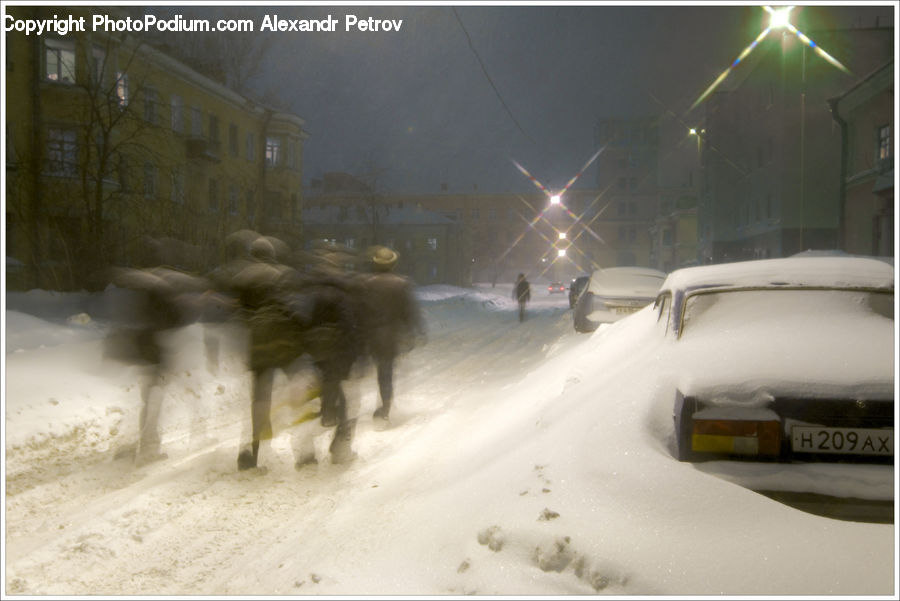 Blizzard, Outdoors, Snow, Weather, Winter, Animal, Zoo