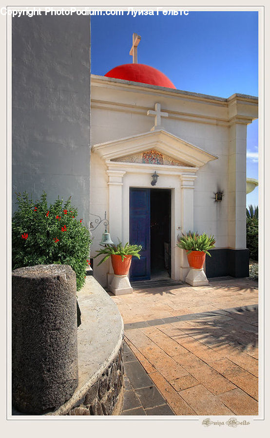 Plant, Potted Plant, Building, Housing, Villa, Conifer, Tree