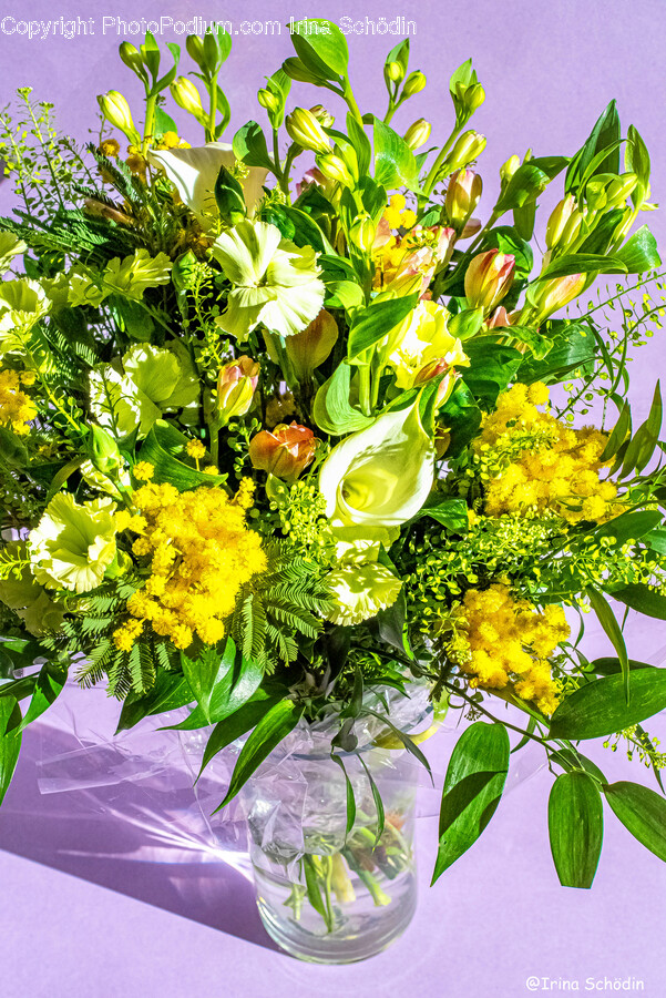 Flower, Flower Arrangement, Plant, Flower Bouquet, Art