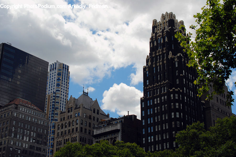 Apartment Building, Building, High Rise, Housing, City, Plant, Vine