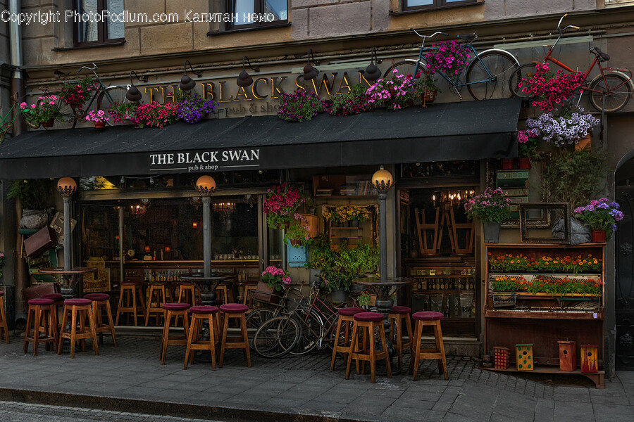 Indoors, Restaurant, Cafe, Architecture, Building