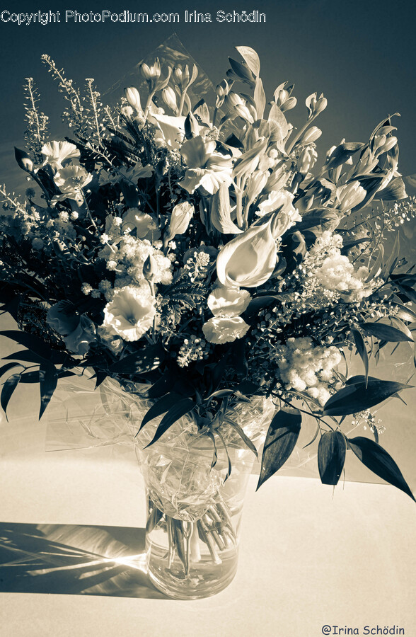 Flower, Flower Arrangement, Flower Bouquet, Plant, Pottery