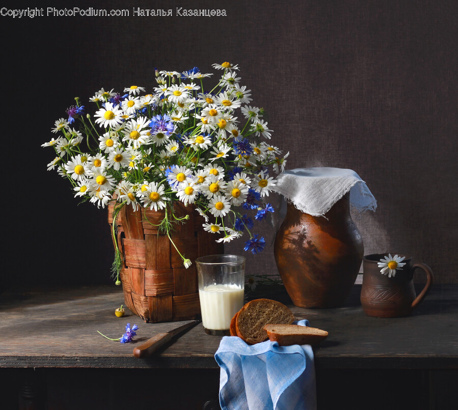 Flower, Flower Arrangement, Plant, Flower Bouquet, Daisy