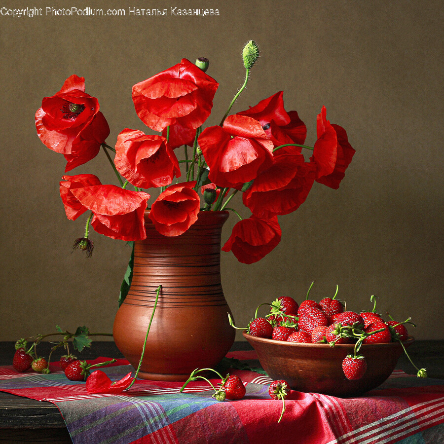Flower, Plant, Flower Arrangement, Berry, Food