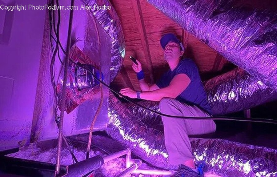 Purple, Person, Electronics, Mobile Phone, Phone