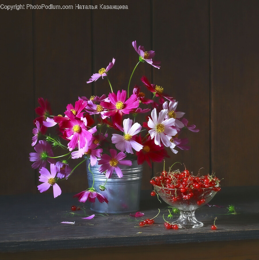 Flower, Flower Arrangement, Flower Bouquet, Plant, Geranium