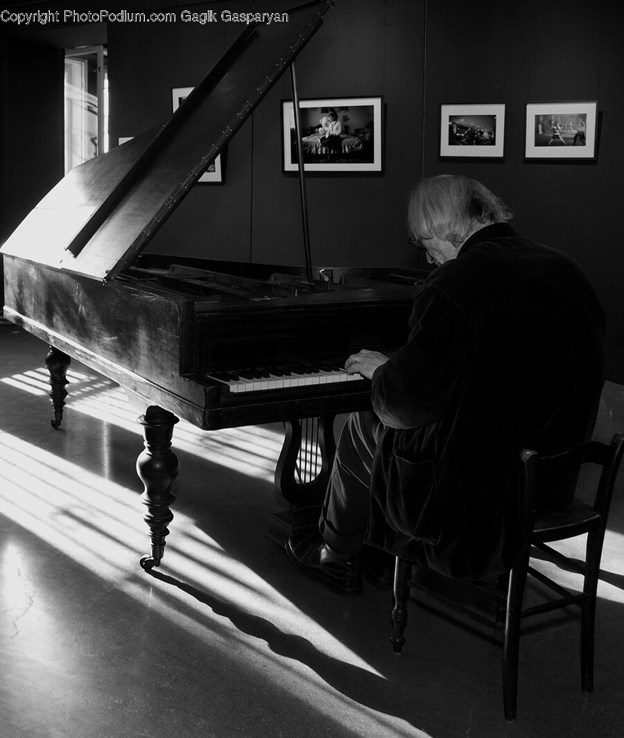 Grand Piano, Keyboard, Musical Instrument, Piano, Adult