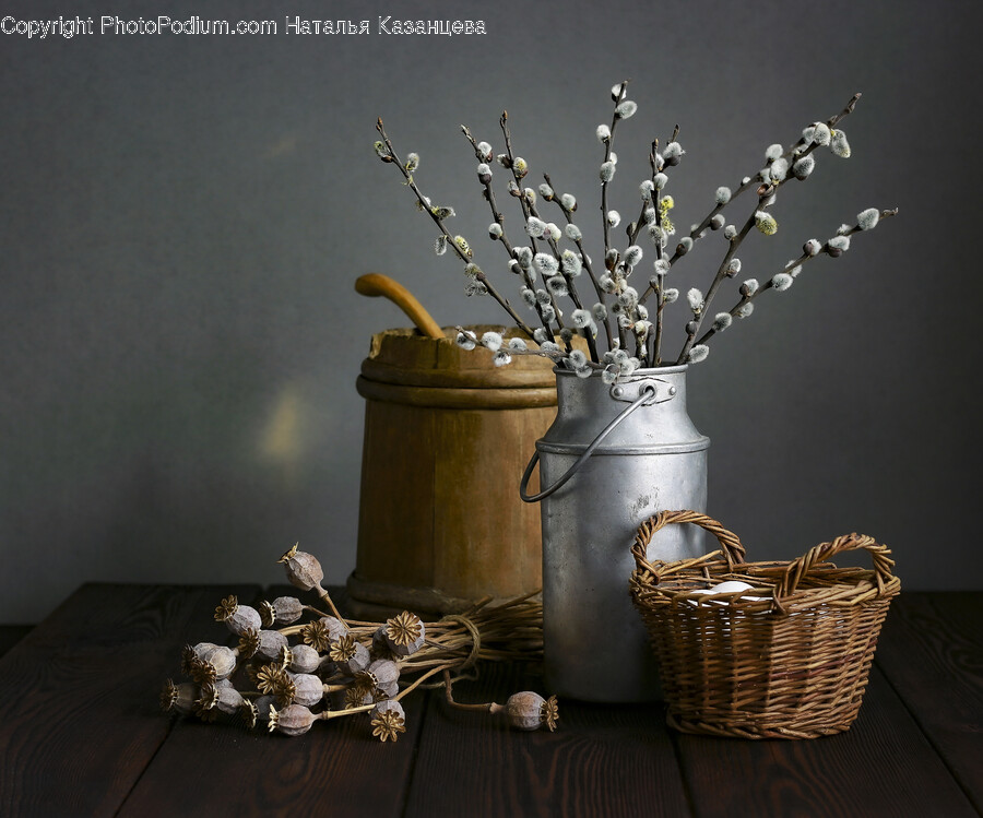 Plant, Tin, Flower, Flower Arrangement, Can
