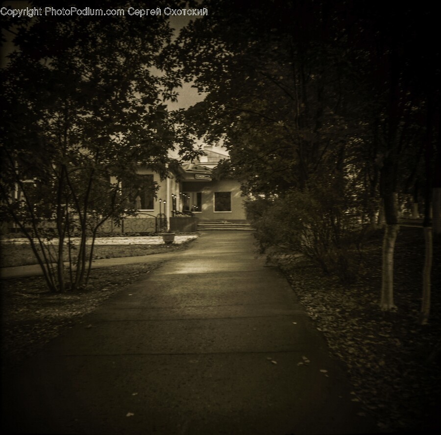 Path, Walkway, Sidewalk, Road, City
