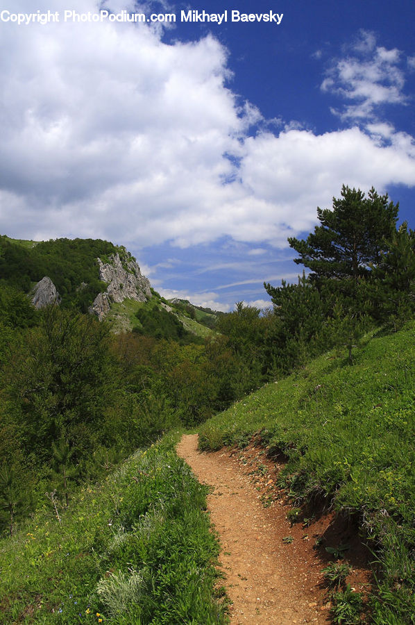 Dirt Road, Gravel, Road, Cliff, Outdoors, Soil, Bush