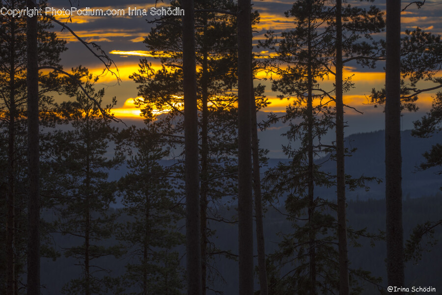 Sunlight, Nature, Outdoors, Sky, Sunset